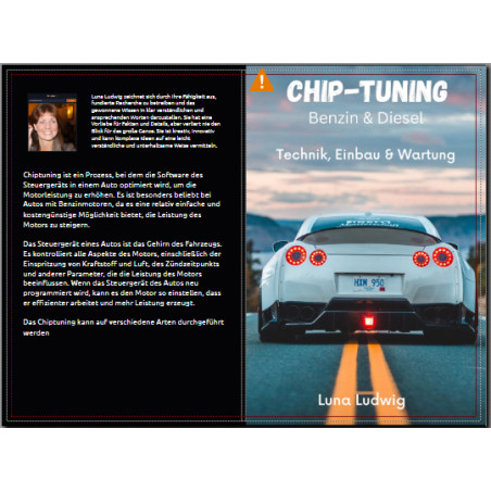 ebook ebuch chiptuning benzin und diesel