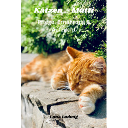 Katzen Mutti Katzentraining