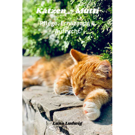 Katzen Mutti Katzentraining