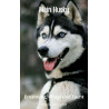 Ebook Mein Husky, Ernährung, Pflege und Zucht Marie Moreno