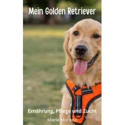 Golden Retriever Marie Moreno