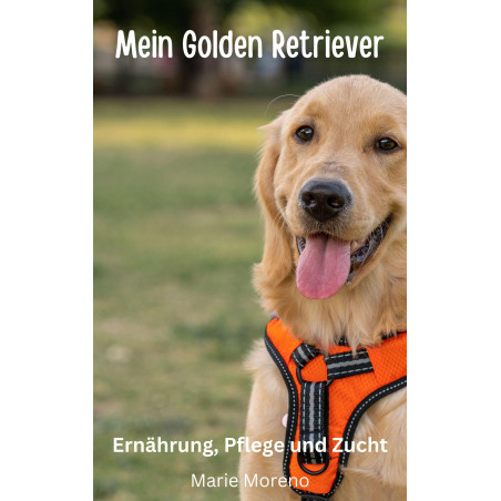 Golden Retriever Marie Moreno