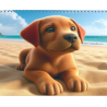 Kinderkalender Der kleine Labrador