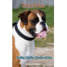 Ebook My Dog The Boxer, Handling, Nutrition, Education and Care