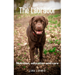 Ebook The Labrador nutrition, education and care