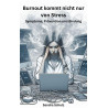 Ebook Burnout kommt nicht nur von Stress, Symptome, Prävention und Bindung von Sandra Schulz