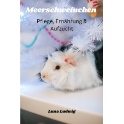 Hörbuch: Meerschweinchen